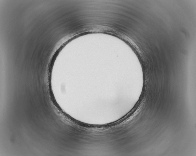 X0000111621122200908281107