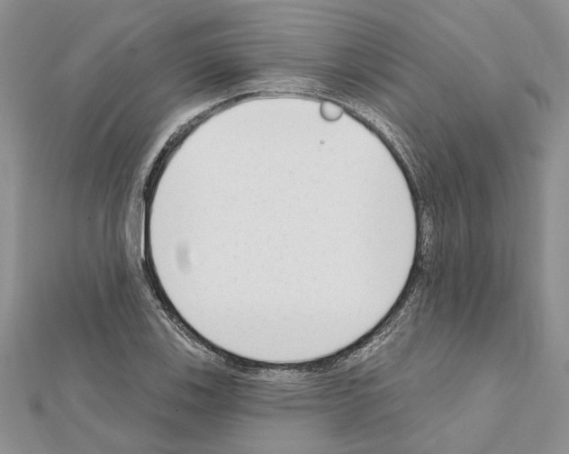 X0000111621123200908281107