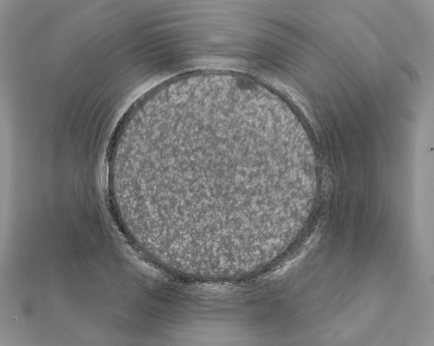 X0000111621125200908281107