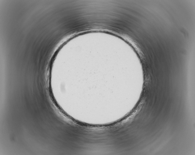 X0000111621126200908281107