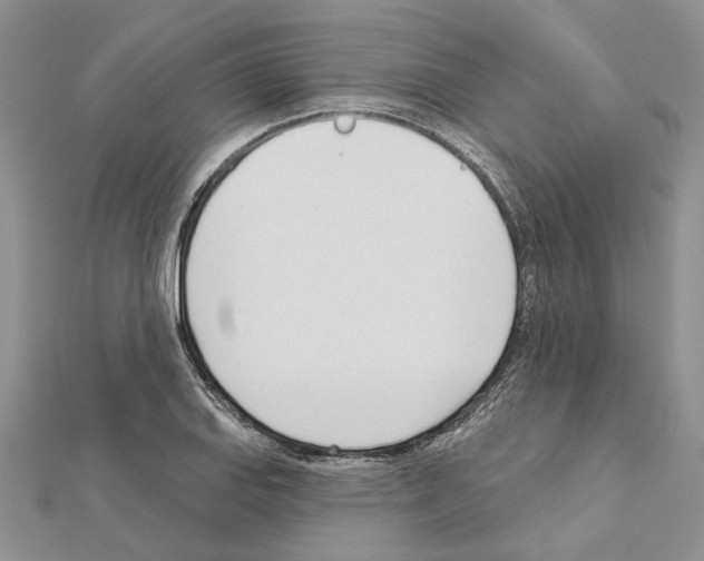 X0000111621127200908281107