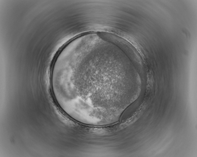 X0000111621128200908281107