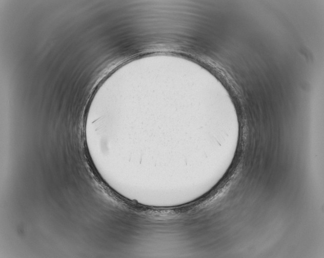 X0000111621129200908281107