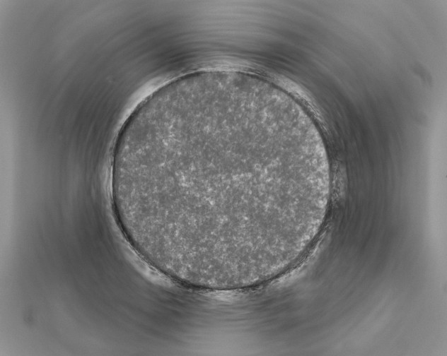 X0000111621130200908281107