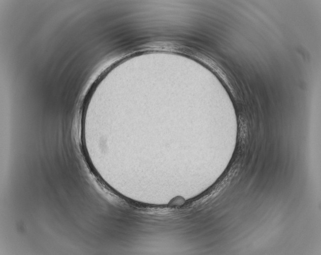 X0000111621131200908281107