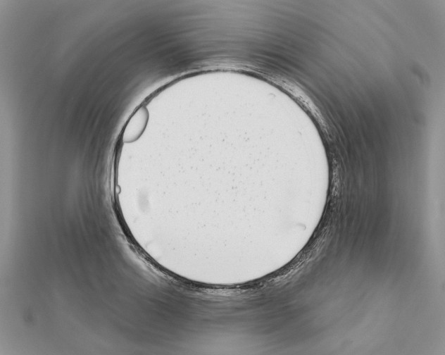 X0000111621132200908281107