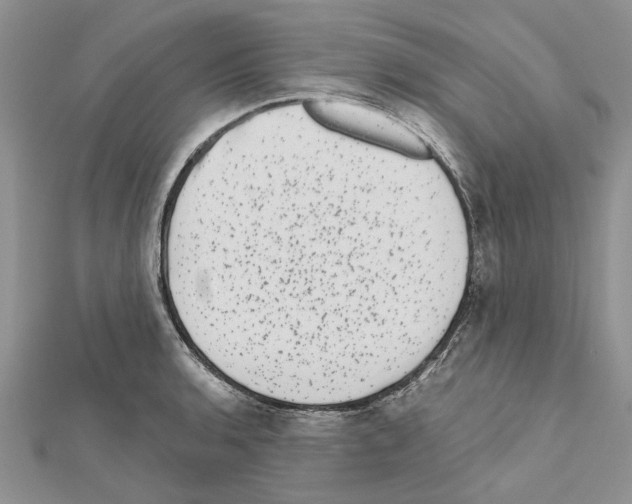 X0000111621136200908281107