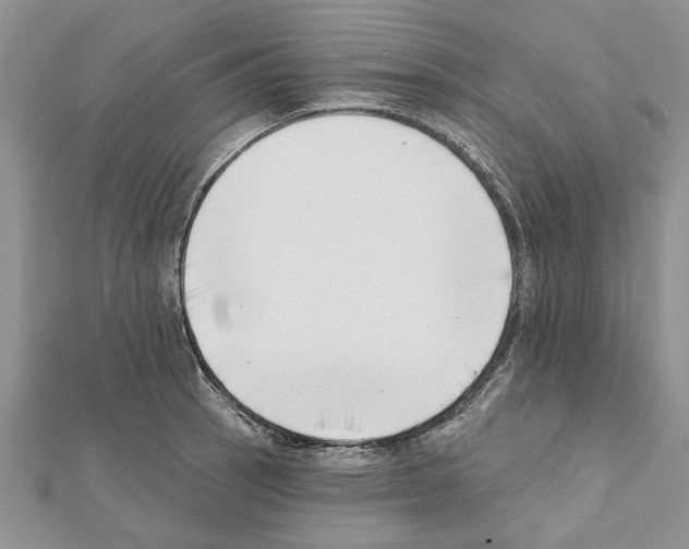 X0000111621137200908281107