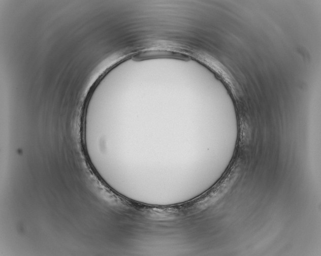 X0000111621138200908281107