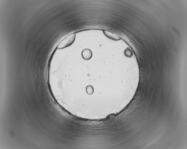 X0000111621140200908281107