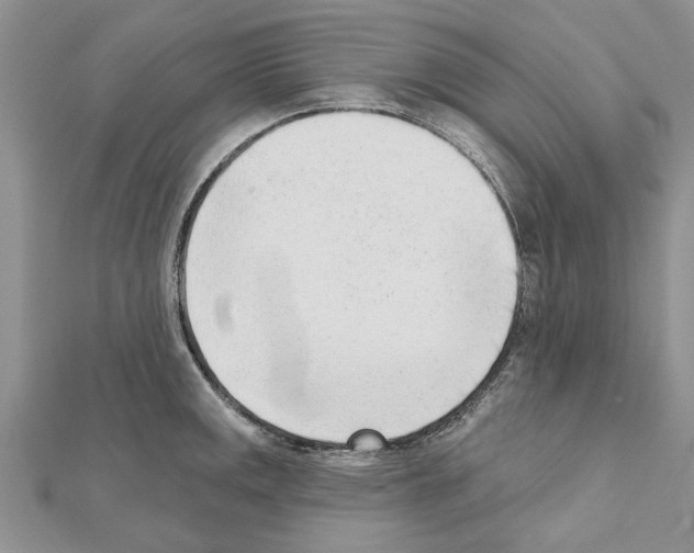 X0000111621141200908281107