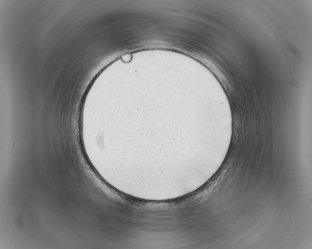 X0000111621142200908281107