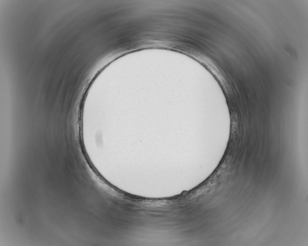 X0000111621143200908281107