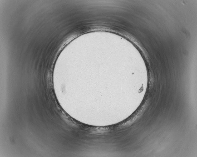 X0000111621145200908281107