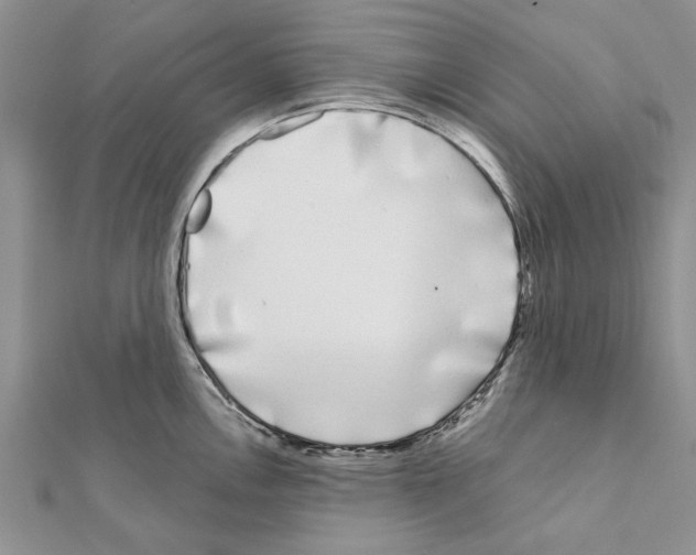 X0000111621146200908281107