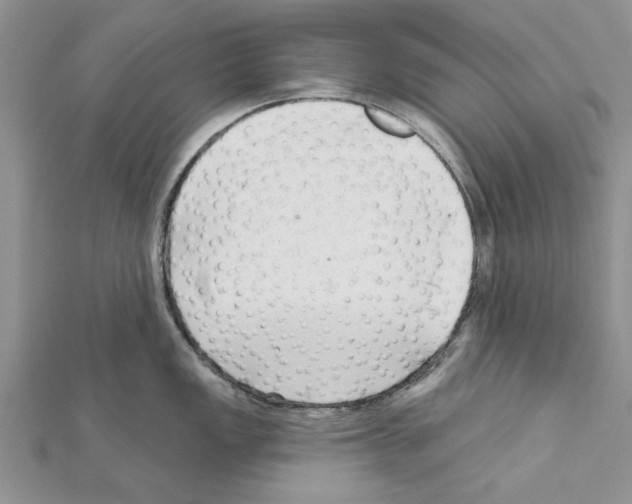 X0000111621149200908281107