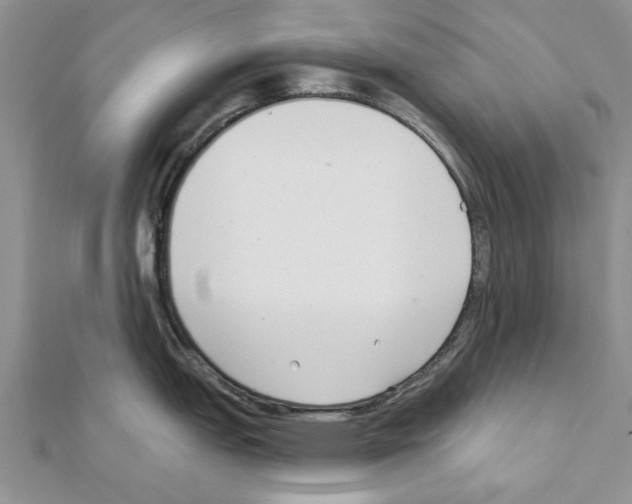 X0000111621151200908281107