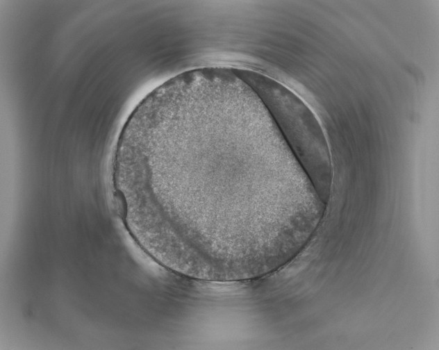 X0000111621152200908281107