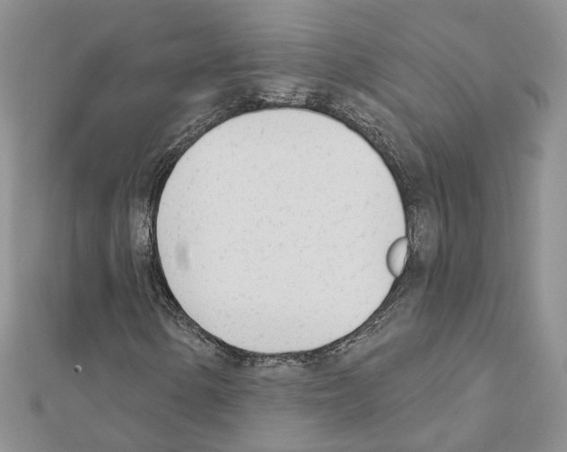 X0000111621154200908281106