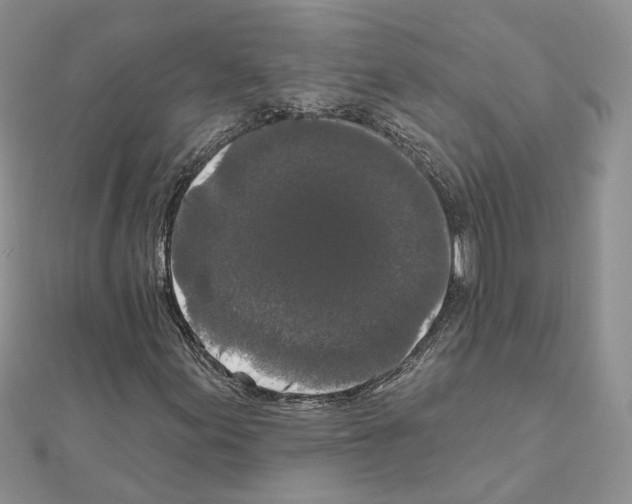 X0000111621155200908281106