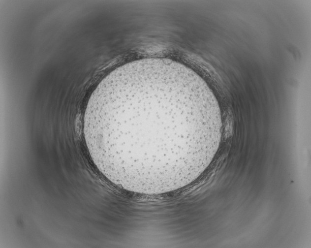 X0000111621156200908281106