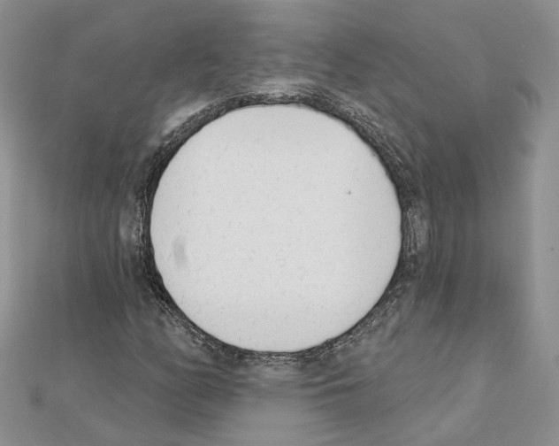 X0000111621158200908281106