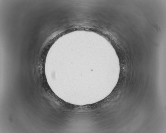 X0000111621159200908281106