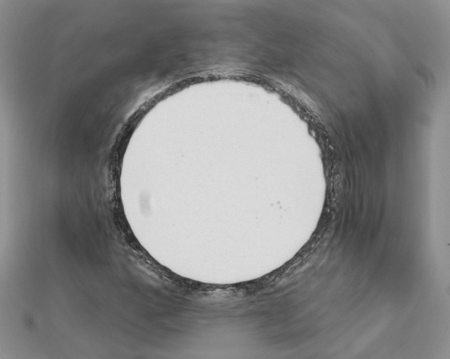 X0000111621160200908281106