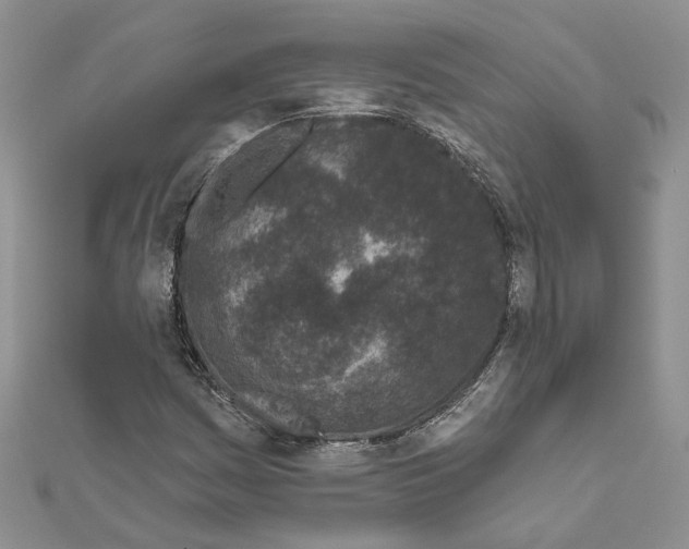 X0000111621161200908281106