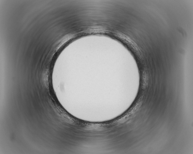 X0000111621162200908281106