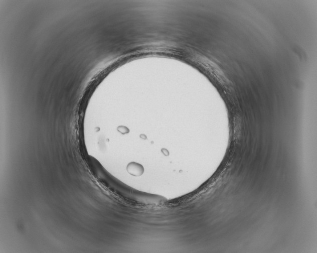 X0000111621164200908281106