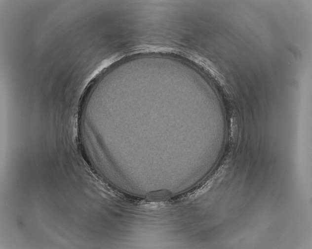 X0000111621165200908281106