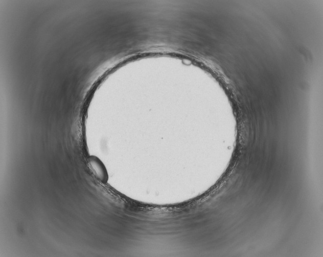 X0000111621167200908281106