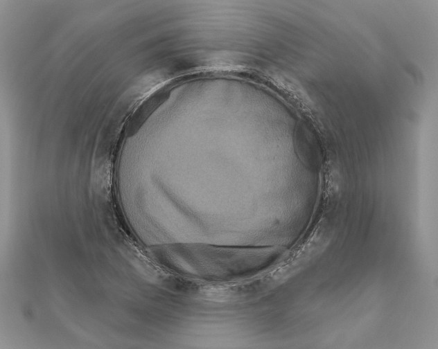 X0000111621169200908281106