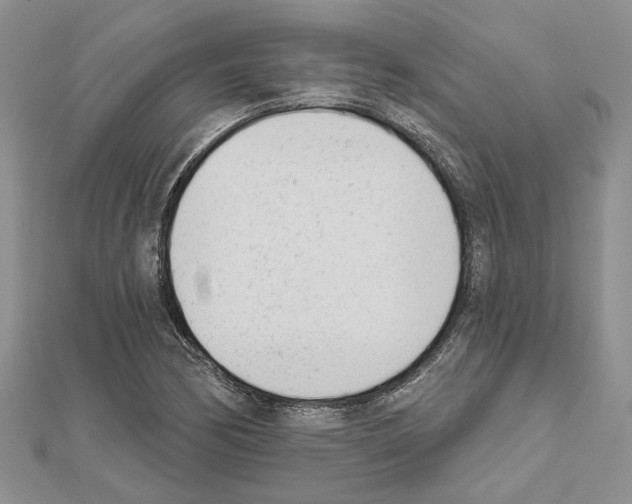 X0000111621170200908281106