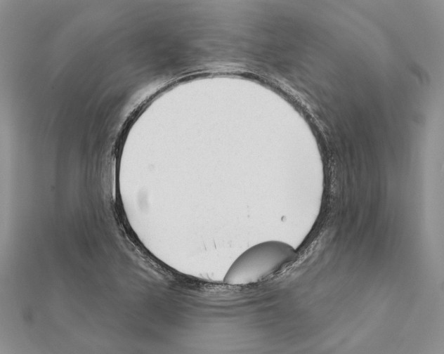 X0000111621171200908281106