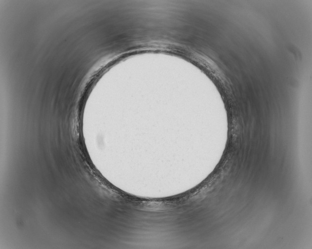 X0000111621172200908281106