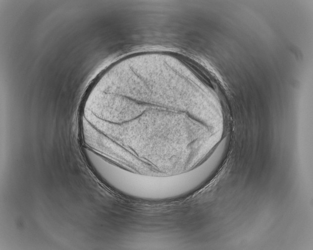 X0000111621173200908281106