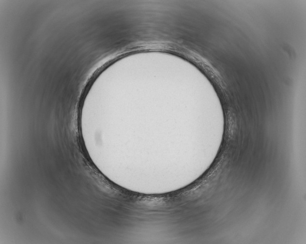 X0000111621174200908281106