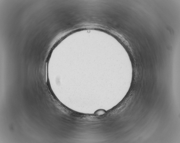 X0000111621175200908281106