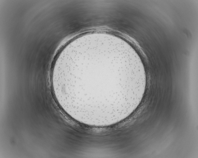 X0000111621176200908281106