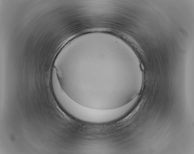 X0000111621177200908281106