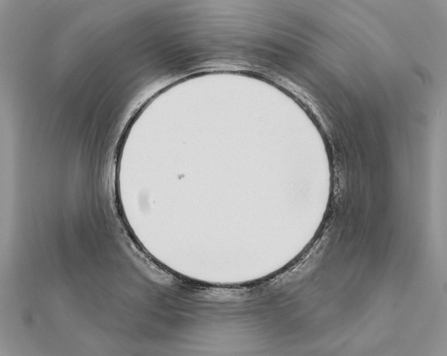 X0000111621179200908281106