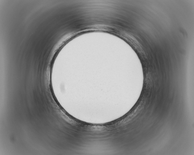 X0000111621180200908281106