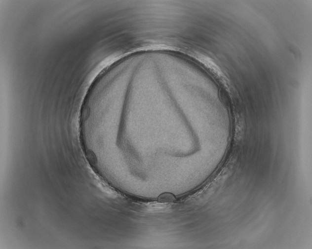 X0000111621181200908281106