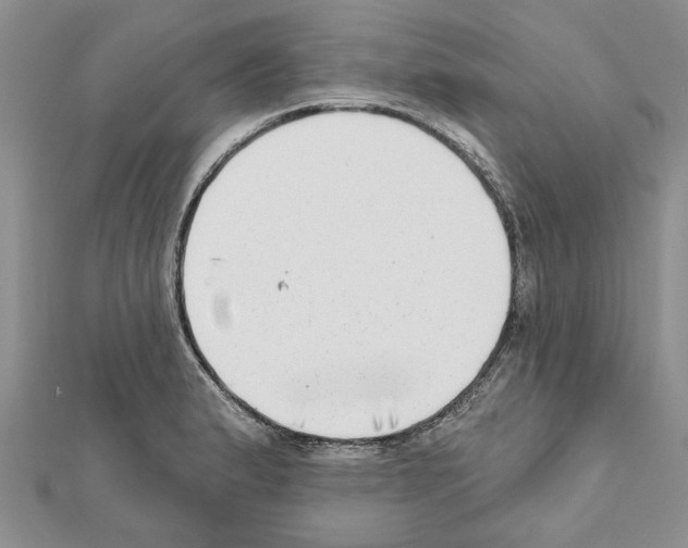 X0000111621183200908281106