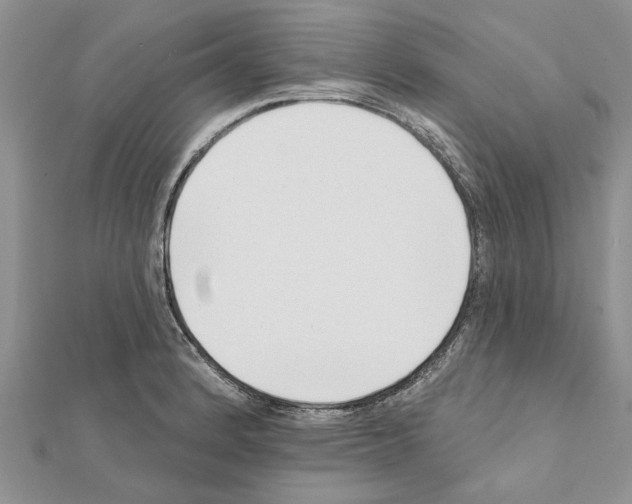 X0000111621184200908281106