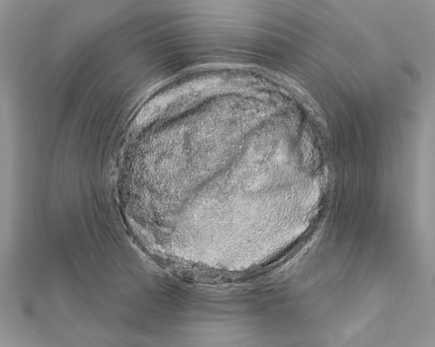 X0000111621185200908281106