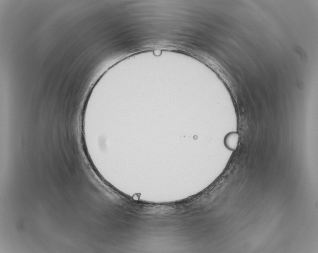 X0000111621187200908281106