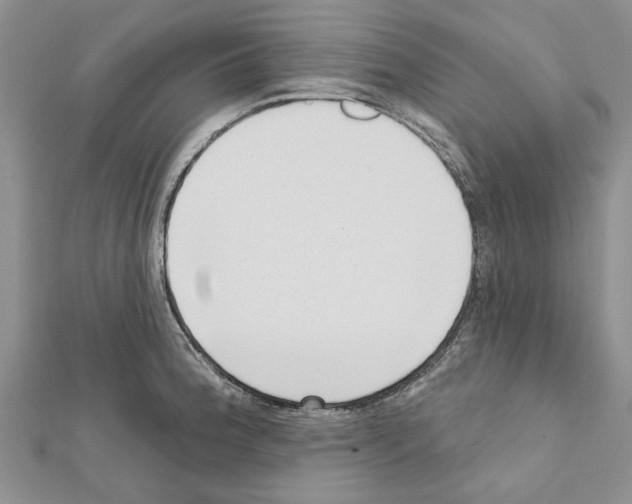 X0000111621188200908281106